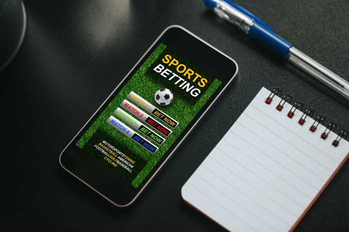 Sports betting casinos elevate the gambling experience
